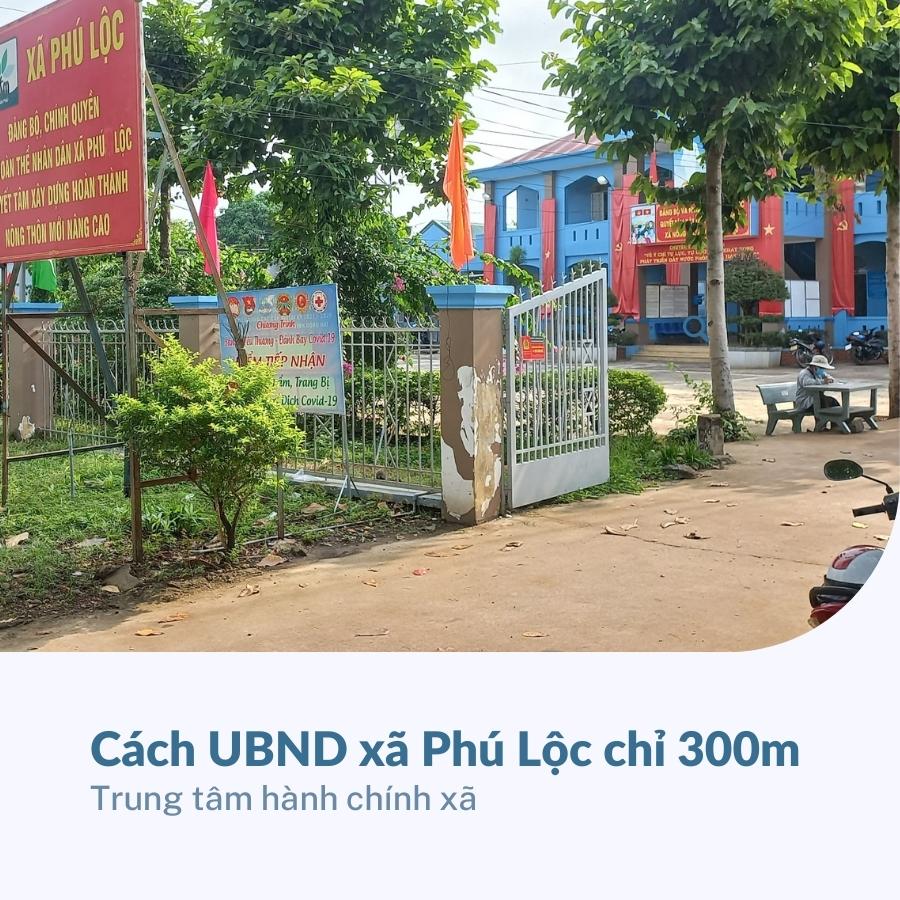 Bán 1000m Đất Mặt Tiền Tà Lài xã Phú Lộc, huyện Tân Phú, Đồng Nai - Quy Hoạch Đất Ở - Ảnh 2